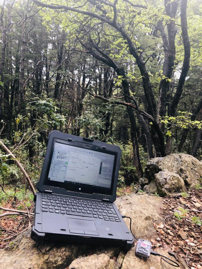 CONAF actualizó el Catastro Vegetacional y uso de la tierra en cinco regiones del país durante el 2025