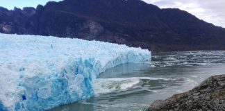 CONAF llama a respetar los ecosistemas protegidos