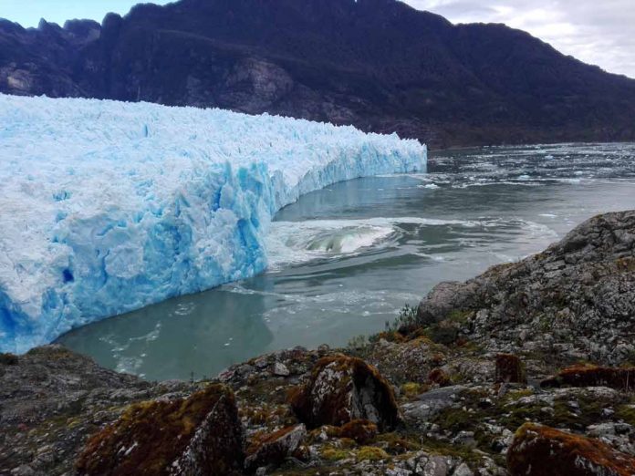 CONAF llama a respetar los ecosistemas protegidos