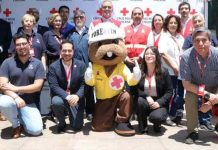 CONAF y Cruz Roja Chilena fortalecen coordinación ante incendios forestales