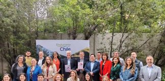 Chile lanza Calendario de Vendimias 2026 y presenta innovador Mapa Interactivo que moderniza la experiencia enoturística