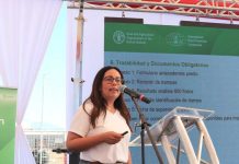 Chile y Argentina unen fuerzas contra la mosca de alas manchadas: FDF lidera la batalla con la Técnica del Insecto Estéril (TIE) Chile y Argentina unen fuerzas contra la mosca de alas manchadas: FDF lidera la batalla con la Técnica del Insecto Estéril (TIE)