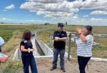 Comisión Nacional de Riego recorre nuevas obras que impulsan el sueño arrocero en la comuna de Ñiquén