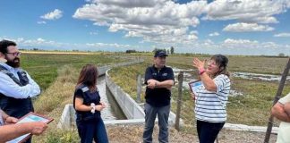 Comisión Nacional de Riego recorre nuevas obras que impulsan el sueño arrocero en la comuna de Ñiquén