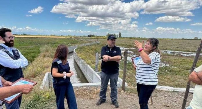 Comisión Nacional de Riego recorre nuevas obras que impulsan el sueño arrocero en la comuna de Ñiquén