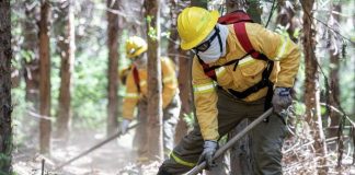 Corma advierte alza del 52 en superficie quemada en La Araucanía