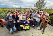 Diversificación frutícola en Ñuble: destacan avances de emblemático proyecto de INIA tras primer año de ejecución
