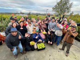 Diversificación frutícola en Ñuble: destacan avances de emblemático proyecto de INIA tras primer año de ejecución