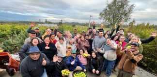 Diversificación frutícola en Ñuble: destacan avances de emblemático proyecto de INIA tras primer año de ejecución
