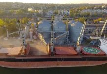 EEUU | Movimiento semanal de granos: la soja no alcanzó el objetivo EEUU Movimiento semanal de granos la soja no alcanzó el objetivo