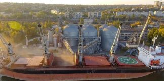 EEUU Movimiento semanal de granos la soja no alcanzó el objetivo