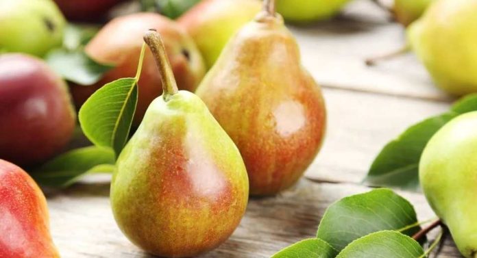 EEUU Productores de pera en California exigen a la USTR frenar la «invasión» de la fruta argentina