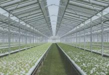 España Agrivolt el nuevo proyecto de I+D de Konery que va a revolucionar la agrovoltaica