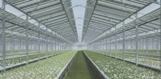 España Agrivolt el nuevo proyecto de I+D de Konery que va a revolucionar la agrovoltaica