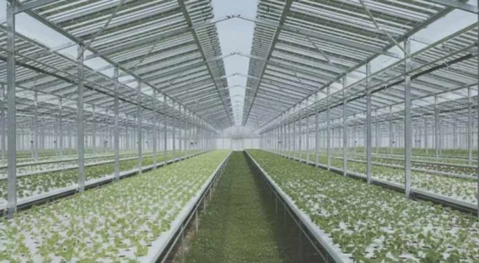 España Agrivolt el nuevo proyecto de I+D de Konery que va a revolucionar la agrovoltaica