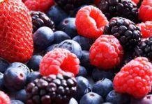 España | Freshuelva prevé un ligero incremento del 1% en la superficie de berries para la campaña 2026