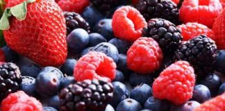 España | Freshuelva prevé un ligero incremento del 1% en la superficie de berries para la campaña 2026