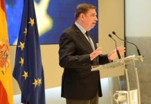 España Mensaje de tranquilidad tras la aparición de peste porcina africana en animales silvestres