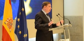 España Mensaje de tranquilidad tras la aparición de peste porcina africana en animales silvestres