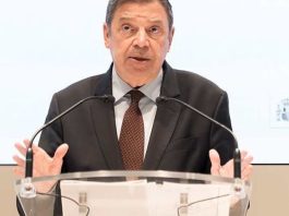 España se apresura a limitar el daño económico causado por el brote de peste porcina africana