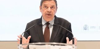 España se apresura a limitar el daño económico causado por el brote de peste porcina africana