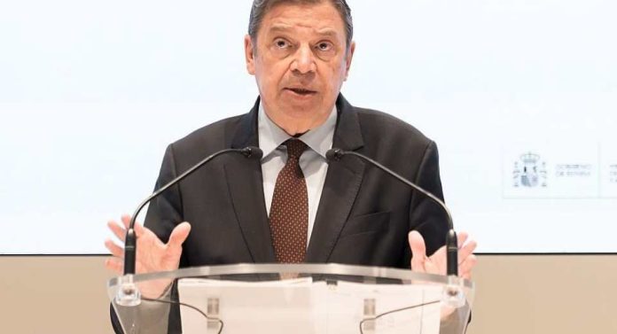 España se apresura a limitar el daño económico causado por el brote de peste porcina africana