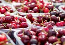 Estudio de la UOH revela déficit de personal en ocupaciones clave del sector frutícola Estudio de la UOH revela déficit de personal en ocupaciones clave del sector frutícola