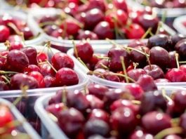 Estudio de la UOH revela déficit de personal en ocupaciones clave del sector frutícola Estudio de la UOH revela déficit de personal en ocupaciones clave del sector frutícola