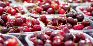 Estudio de la UOH revela déficit de personal en ocupaciones clave del sector frutícola Estudio de la UOH revela déficit de personal en ocupaciones clave del sector frutícola