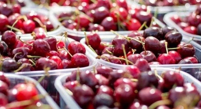 Estudio de la UOH revela déficit de personal en ocupaciones clave del sector frutícola Estudio de la UOH revela déficit de personal en ocupaciones clave del sector frutícola