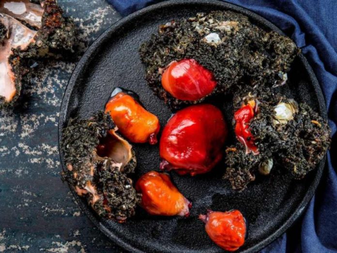 Estudio evalúa las oportunidades comerciales del piure a nivel nacional e internacional