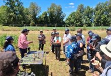 Exitoso día de campo abordó la producción de trigo, quínoa y legumbres para la soberanía alimentaria en Los Ríos Exitoso día de campo abordó la producción de trigo, quínoa y legumbres para la soberanía alimentaria en Los Ríos