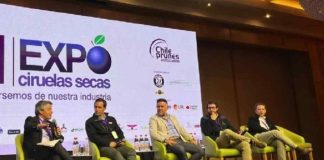 Se viene una Expo Ciruelas Secas 2026 ¡Imperdible!!!
