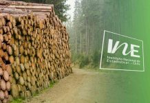 Exportaciones forestales del Biobío, IInstituto Nacional de Estadísticas, INE