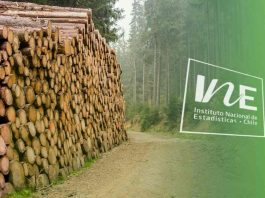 Exportaciones forestales del Biobío disminuyeron 9,8% en mayo de 2026 y contemplaron 63,7% de las exportaciones regionales Exportaciones forestales del Biobío, IInstituto Nacional de Estadísticas, INE