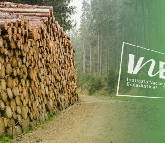 Exportaciones forestales del Biobío, IInstituto Nacional de Estadísticas, INE