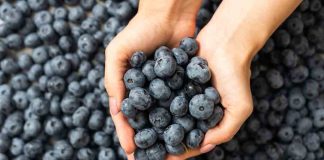 Frutas de Chile estrena promoción para incentivar el consumo de arándanos frescos en el país