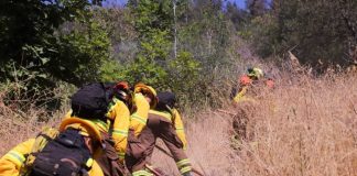 Gobierno despliega histórico plan de casi 5 mil km de cortafuegos para prevenir incendios forestales