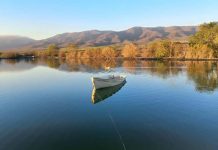 Hay que agilizar la gestión administrativa para destrabar la inversión sin sacrificar el medio ambiente