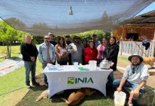 INIA Intihuasi impulsa talleres en Atacama para fortalecer capacidades en hidroponía y manejo de invernaderos INIA Intihuasi impulsa talleres en Atacama para fortalecer capacidades en hidroponía y manejo de invernaderos