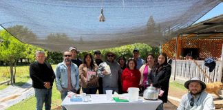 INIA Intihuasi impulsa talleres en Atacama para fortalecer capacidades en hidroponía y manejo de invernaderos