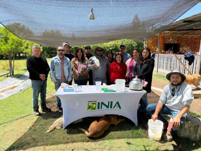 INIA Intihuasi impulsa talleres en Atacama para fortalecer capacidades en hidroponía y manejo de invernaderos INIA Intihuasi impulsa talleres en Atacama para fortalecer capacidades en hidroponía y manejo de invernaderos