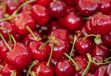 INIA busca producir entre 100 mil y 200 mil plantones de frambuesa en La Libertad