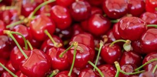 INIA busca producir entre 100 mil y 200 mil plantones de frambuesa en La Libertad