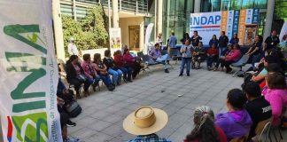 INIA e INDAP inician segunda versión del programa TAS en el secano de Ñuble