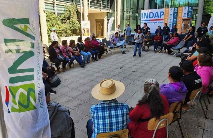 INIA e INDAP inician segunda versión del programa TAS en el secano de Ñuble