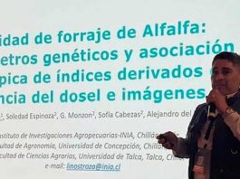 Fenotipado digital como una herramienta clave para seleccionar plantas. Fenotipado digital como una herramienta clave para seleccionar plantas