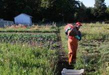 INIA y Mar-Mau firman acuerdo para transformar residuos marinos en sustratos agrícolas sustentables