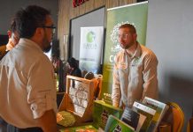 Argentina | Nuevos alimentos vegetales en el Código Alimentario: derivados del olivo y de nuez pecán encabezan las novedades Argentina | Nuevos alimentos vegetales en el Código Alimentario: derivados del olivo y de nuez pecán encabezan las novedades