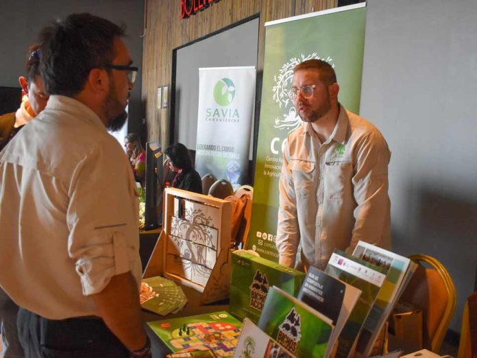 Argentina | Nuevos alimentos vegetales en el Código Alimentario: derivados del olivo y de nuez pecán encabezan las novedades